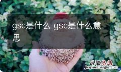 gsc是什么 gsc是什么意思