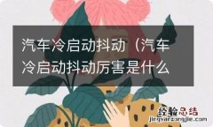 汽车冷启动抖动厉害是什么原因 汽车冷启动抖动