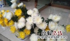 祭拜用什么花 祭拜用什么花好