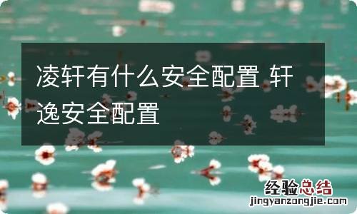 凌轩有什么安全配置 轩逸安全配置