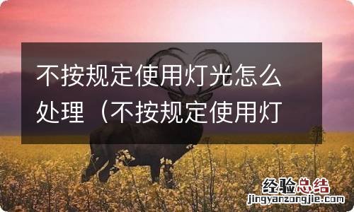 不按规定使用灯光怎么处理的咨询 不按规定使用灯光怎么处理