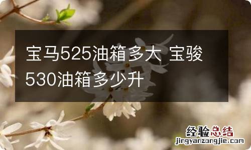 宝马525油箱多大 宝骏530油箱多少升