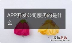 APP开发公司服务的是什么