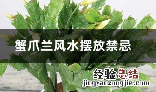 蟹爪兰风水摆放禁忌 放什么位置好呢