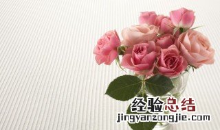 玫瑰花瓣怎么晒干保存 玫瑰花瓣怎么晒干