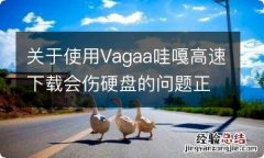 关于使用Vagaa哇嘎高速下载会伤硬盘的问题正确解答