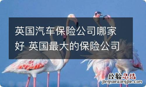 英国汽车保险公司哪家好 英国最大的保险公司是哪家