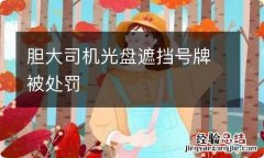 胆大司机光盘遮挡号牌被处罚