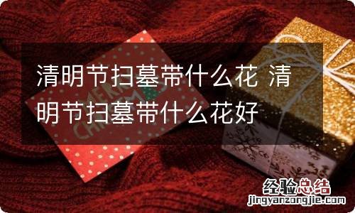 清明节扫墓带什么花 清明节扫墓带什么花好