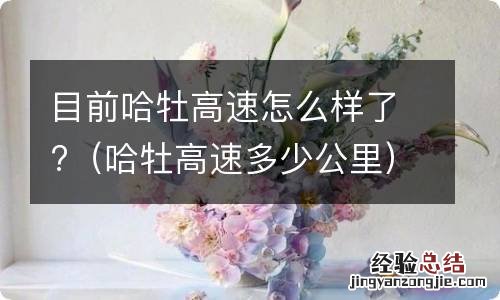 哈牡高速多少公里 目前哈牡高速怎么样了?