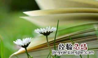 一段很长很暖心的说说 一段很长很暖心的情话有什么