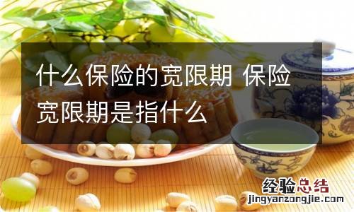 什么保险的宽限期 保险宽限期是指什么