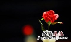 66支玫瑰什么意思啊 66支玫瑰什么意思