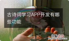 古诗词学习APP开发有哪些功能