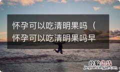 怀孕可以吃清明果吗早期 怀孕可以吃清明果吗