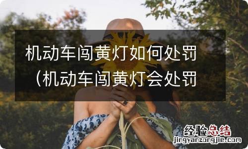 机动车闯黄灯会处罚吗? 机动车闯黄灯如何处罚