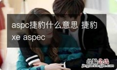 aspc捷豹什么意思 捷豹xe aspec