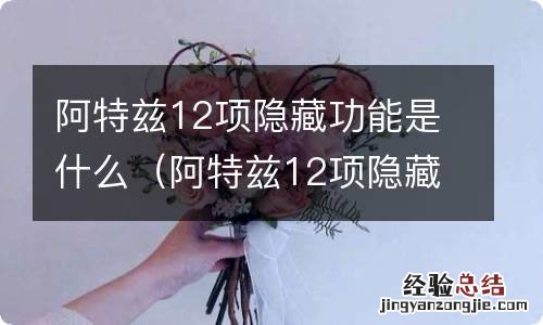 阿特兹12项隐藏功能是什么呢 阿特兹12项隐藏功能是什么