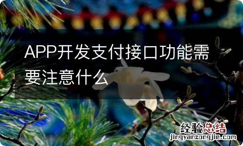 APP开发支付接口功能需要注意什么