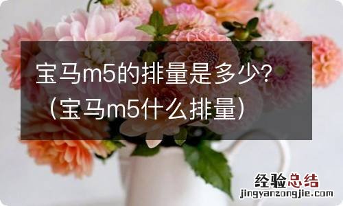 宝马m5什么排量 宝马m5的排量是多少？