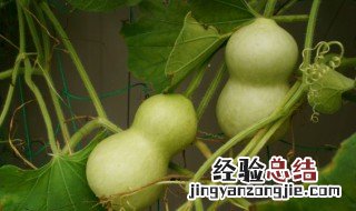 化煞最厉害的物品是什么 化煞最厉害的物品是什么