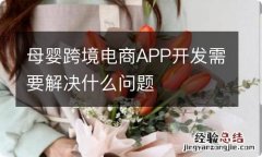 母婴跨境电商APP开发需要解决什么问题