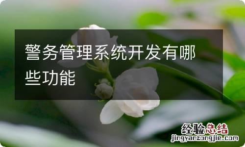 警务管理系统开发有哪些功能