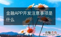 金融APP开发注意事项是什么