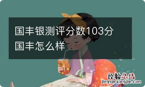 国丰银测评分数103分 国丰怎么样