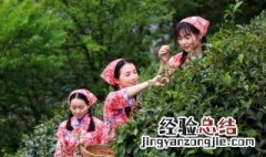 乔家临江茶山在哪里 乔家大院里的临江茶山在哪里