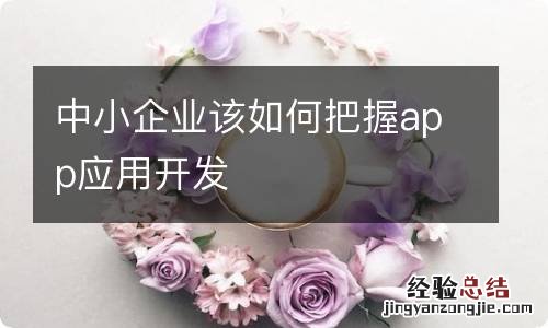 中小企业该如何把握app应用开发