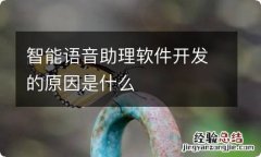 智能语音助理软件开发的原因是什么