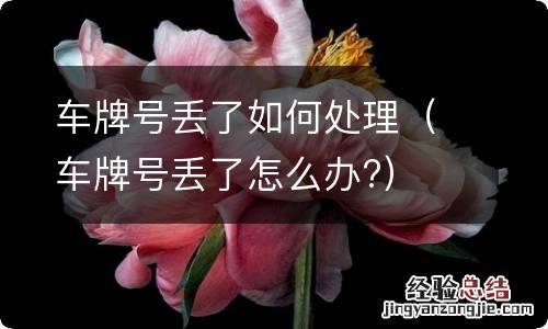 车牌号丢了怎么办? 车牌号丢了如何处理