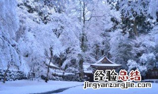 下雪适合发的朋友圈 适合下雪发朋友圈的文