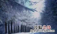 冬天第一场雪伤感文案 关于初雪的文案