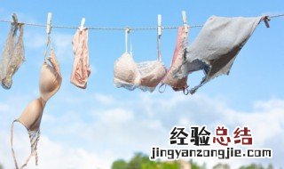 不穿内衣胸会下垂吗
