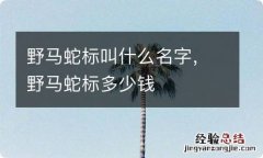 野马蛇标叫什么名字，野马蛇标多少钱