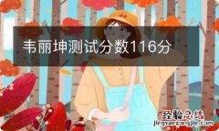 韦丽坤测试分数116分