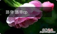 路帝 路帝cp