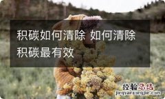 积碳如何清除 如何清除积碳最有效