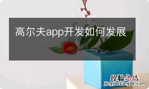 高尔夫app开发如何发展