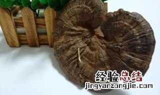 灵芝可以怎么泡水来喝 灵芝怎样泡水喝