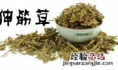 伸筋藤与伸筋草的区别 伸筋藤与伸筋草的区别是什么