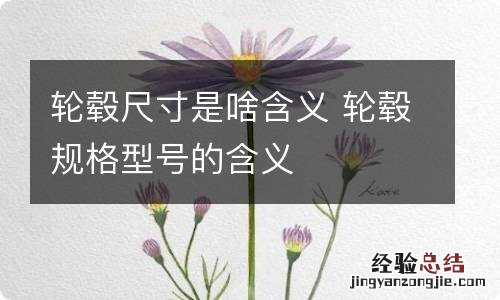 轮毂尺寸是啥含义 轮毂规格型号的含义