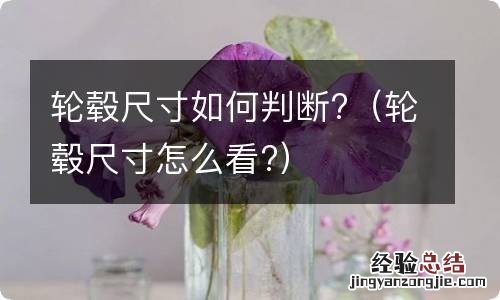 轮毂尺寸怎么看? 轮毂尺寸如何判断?