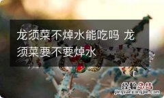 龙须菜不焯水能吃吗 龙须菜要不要焯水