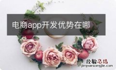 电商app开发优势在哪