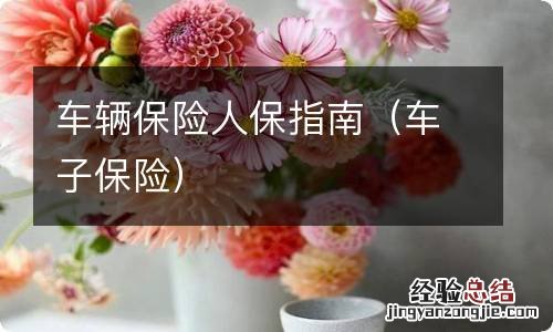 车子保险 车辆保险人保指南