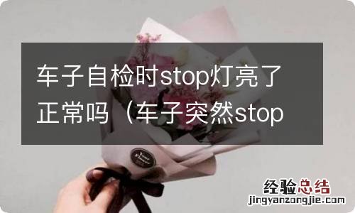 车子突然stop故障灯怎么解决 车子自检时stop灯亮了正常吗