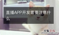 直播APP开发需要注意什么